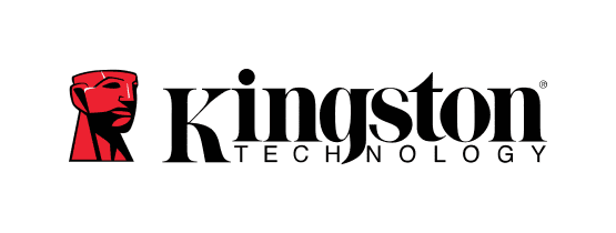 Kingston Datenrettung