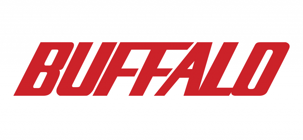 Buffalo Datenrettung bei PITS