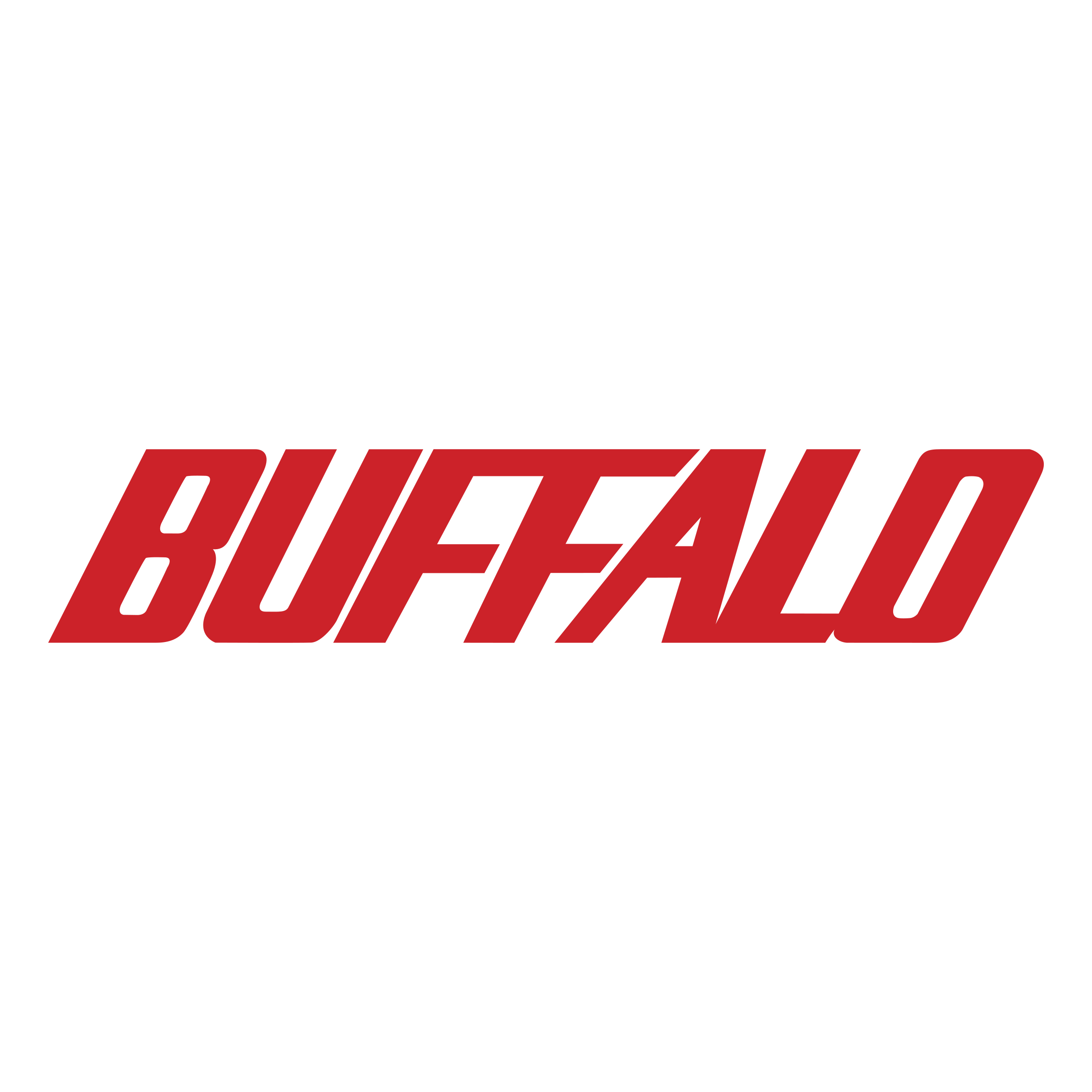 Buffalo Datenrettung bei PITS
