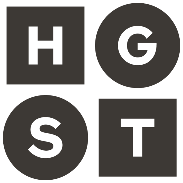 hgst-datenrettung